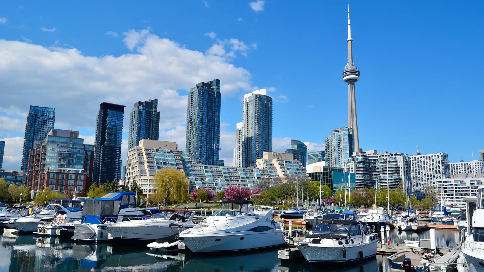 Hotel Holiday Inn Express Toronto Downtown By Ihg